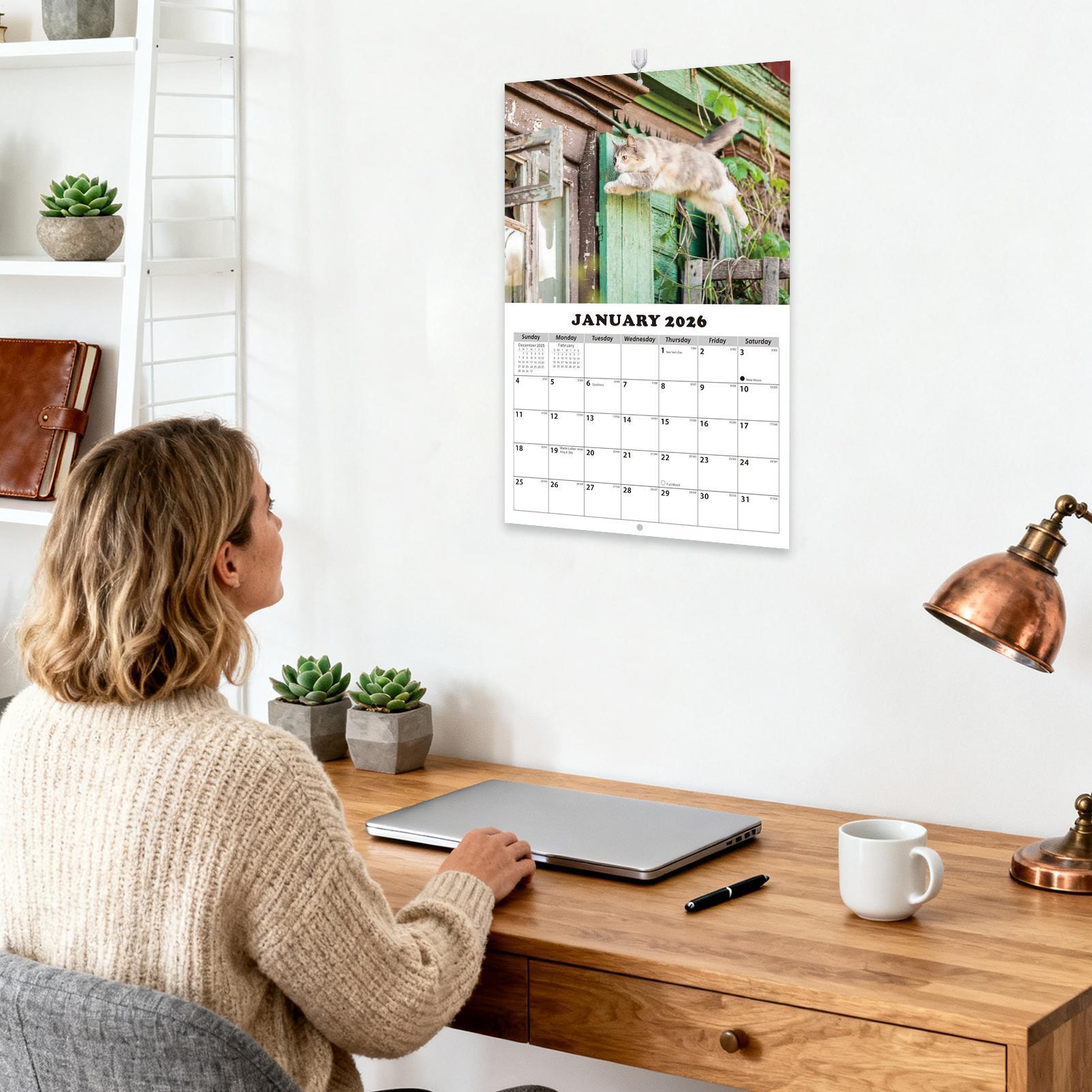 2026 猫英語壁掛けカレンダー 13 か月計画 猫スタイル - English Home Office のレビューと価格