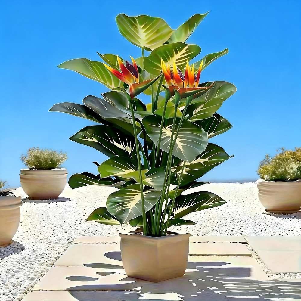 人工の極楽鳥花とポトスの植物、庭園、ショッピングセンター、ホ - Home Office Word のレビューと価格