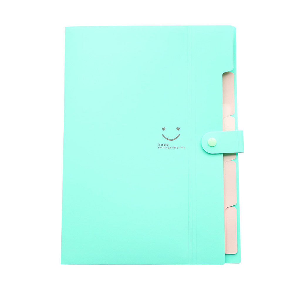 5ポケットA4プラスチック製拡張ファイルフォルダー、スナップ - Home Office Travel Document のレビューと価格
